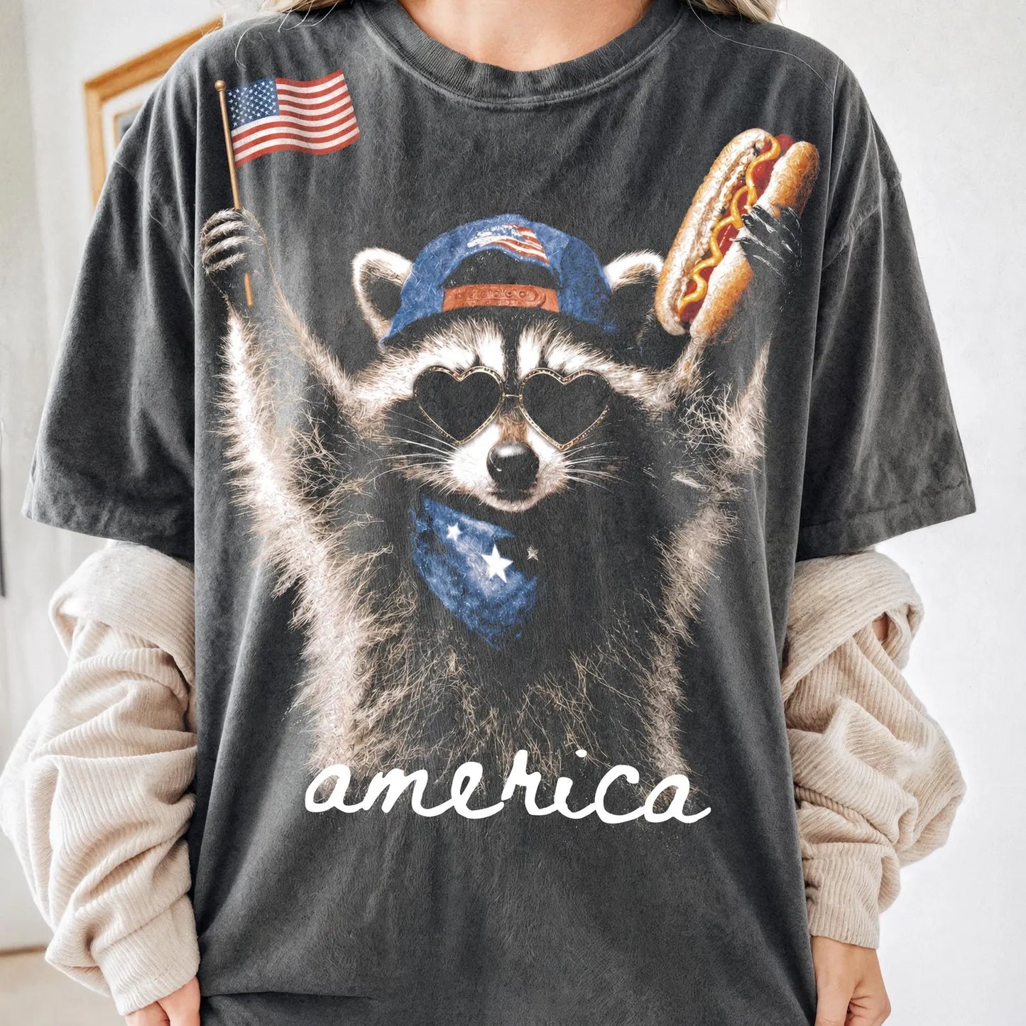 Patriotic Raccoon Transfer